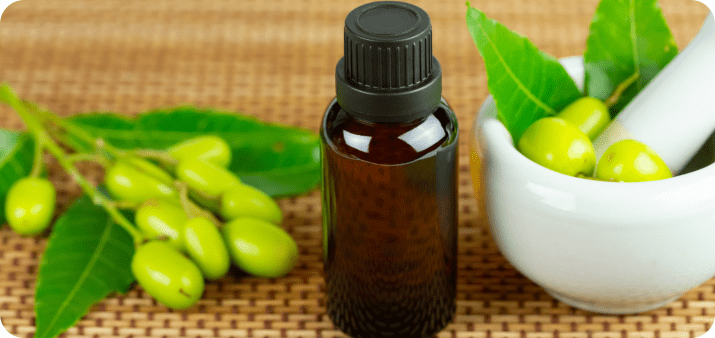 amla oil benefits for hair​