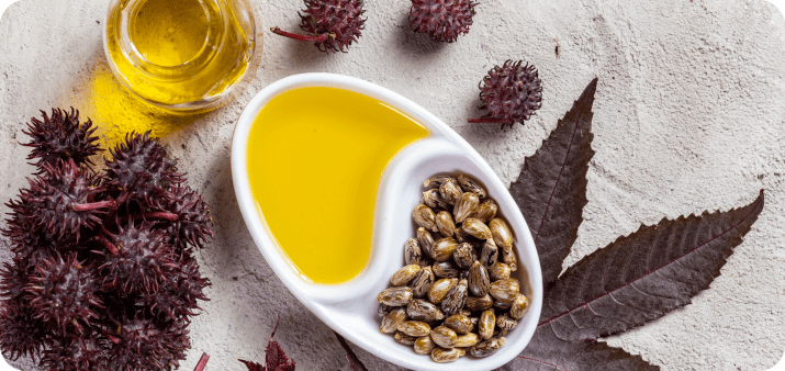 What is Castor oil
