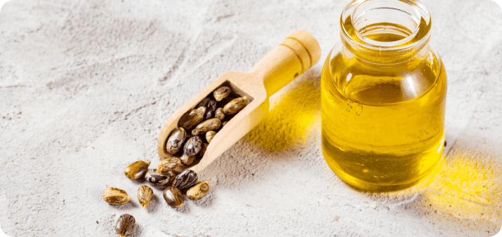 What Is Camellia Oil