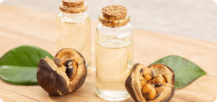 What Is Camellia Oil