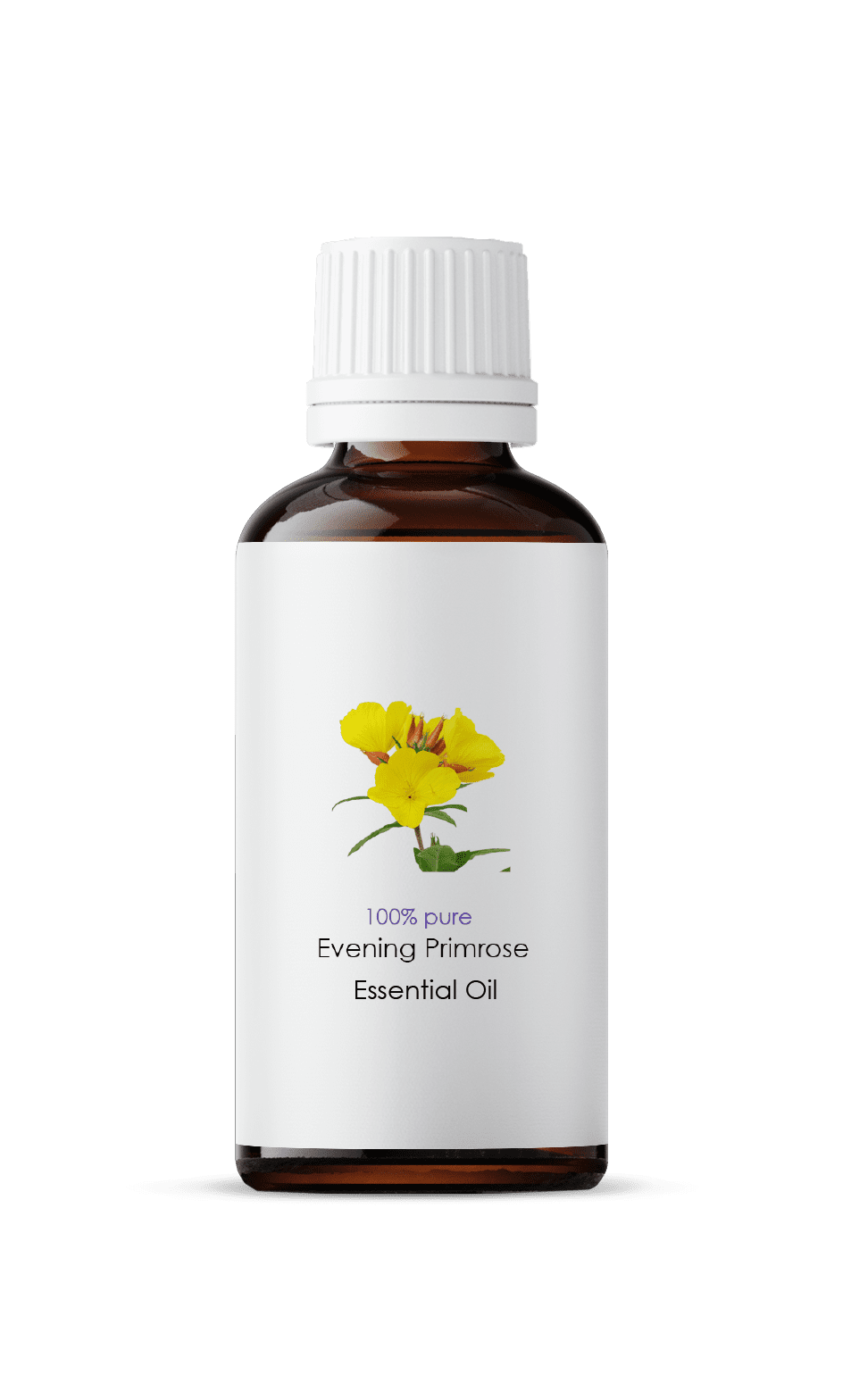 Evening Primrose Essential Oil